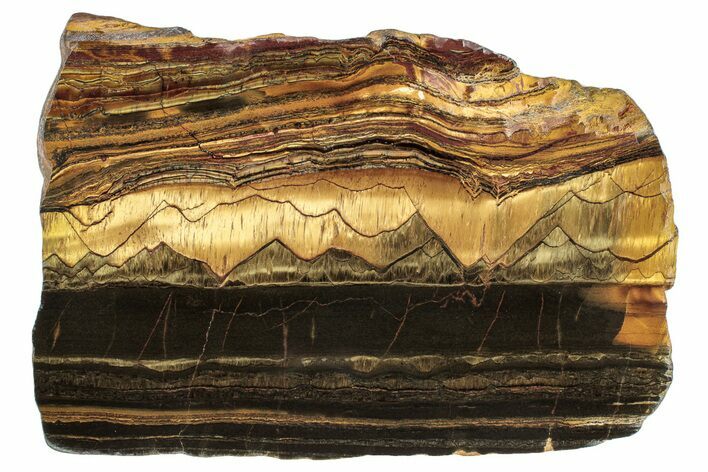 Polished Packsaddle Tiger Eye Slab - Western Australia #260894